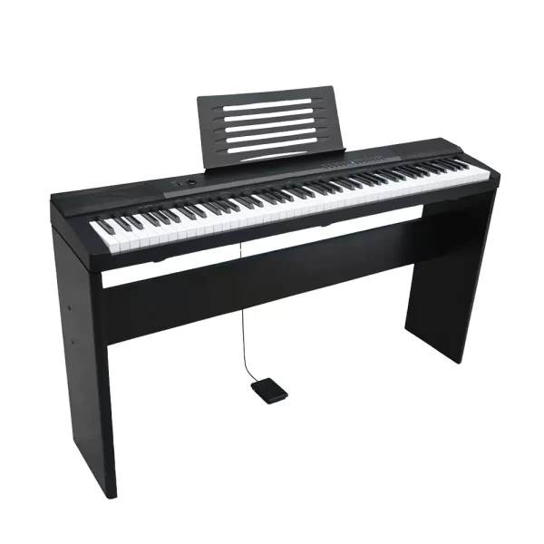 TECHNO PIANO TM- P885