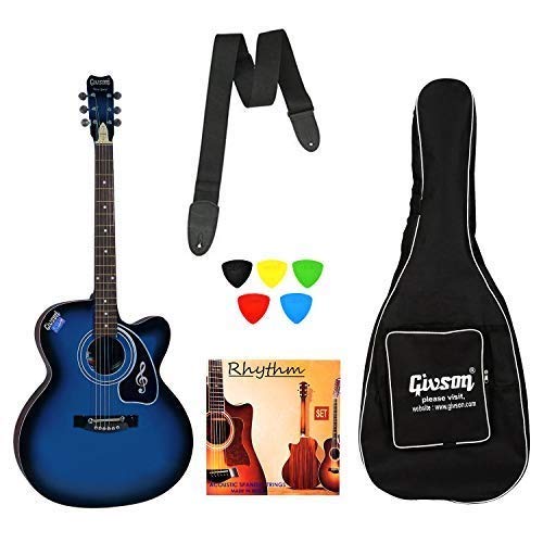 Givson Acoustic VS-BU Guitar