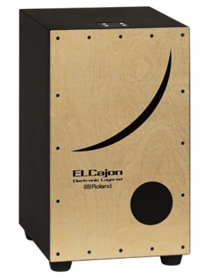 Roland EC-10 Electronic/Acoustic Hybrid Cajon