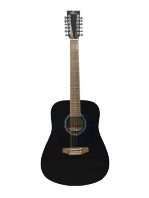 Pluto Guitar HW41-12-201 12-String Jumbo Acoustic Guitar