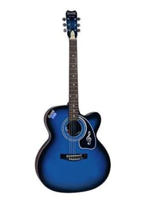 Givson Guitar Acoustic VS-BU Guitar