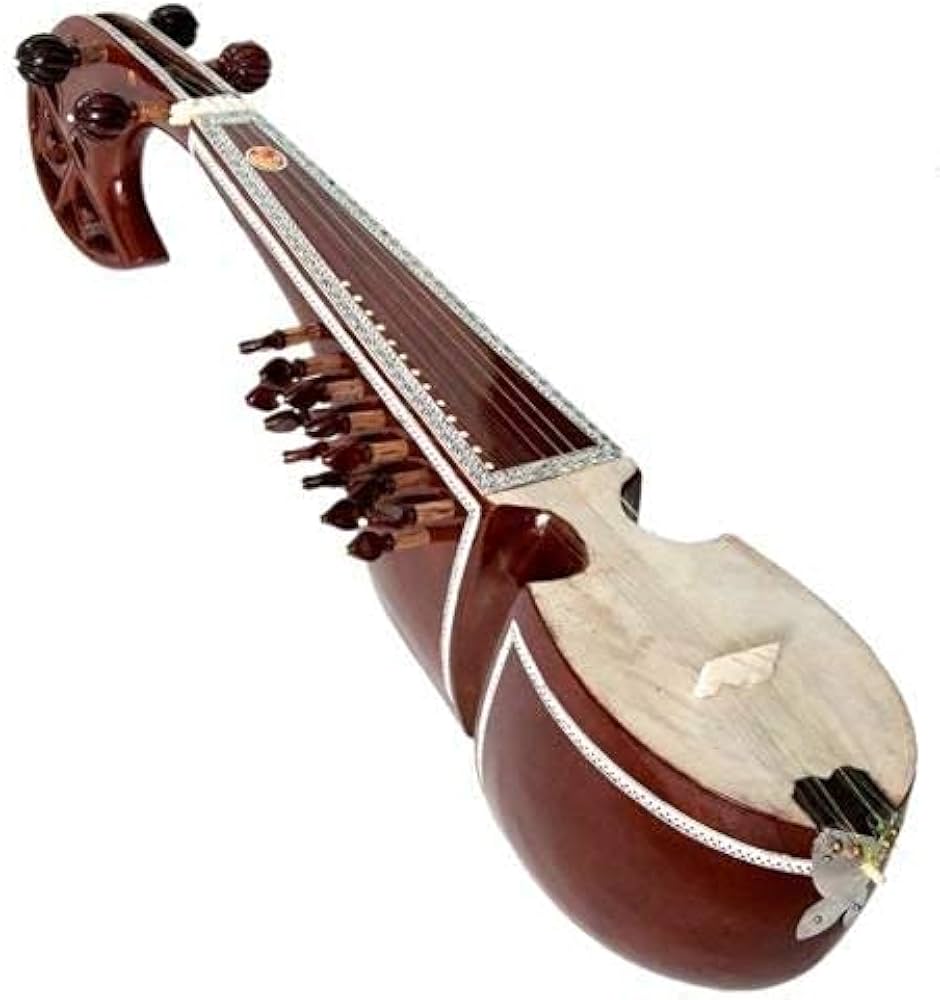 TM Professional Rabab Rubab Indian Wood Musical Instrument With fiber case