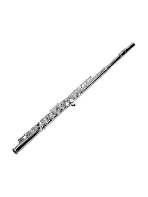 Kadence metal flute Silver plated with Case