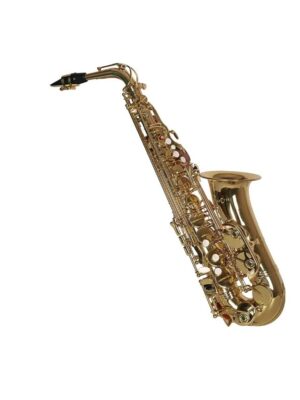 ARCTIC Alto Saxophone with Case, International