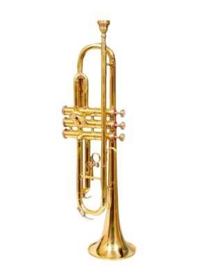 Musical Trumpet Bb tuned brass Polish