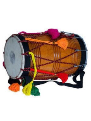 TM kids bhangra dhol