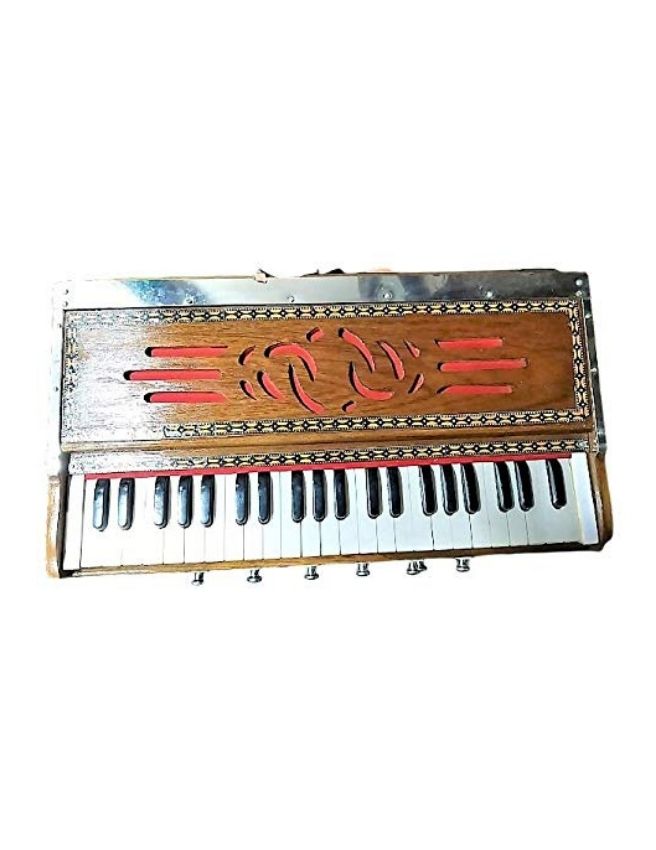 Vertical harmonium on sale