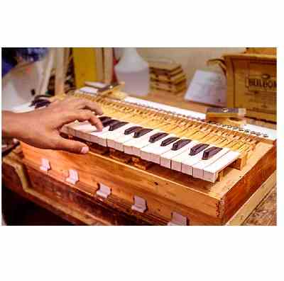 Harmonium deals body price