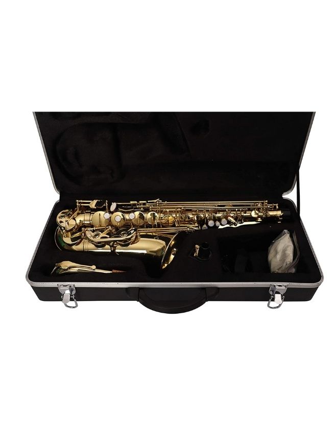 ARCTIC Alto Saxophone with Case, International World Class finish