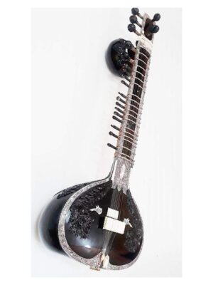 TM Double Tumba Hand Made Sitar with Special Fiber Box