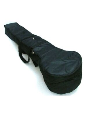 TM Tanpura Foam Padded case