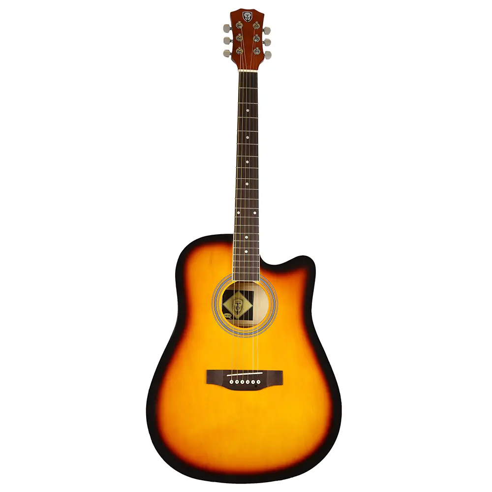 Techno Acoustic Guitar TM-41 P