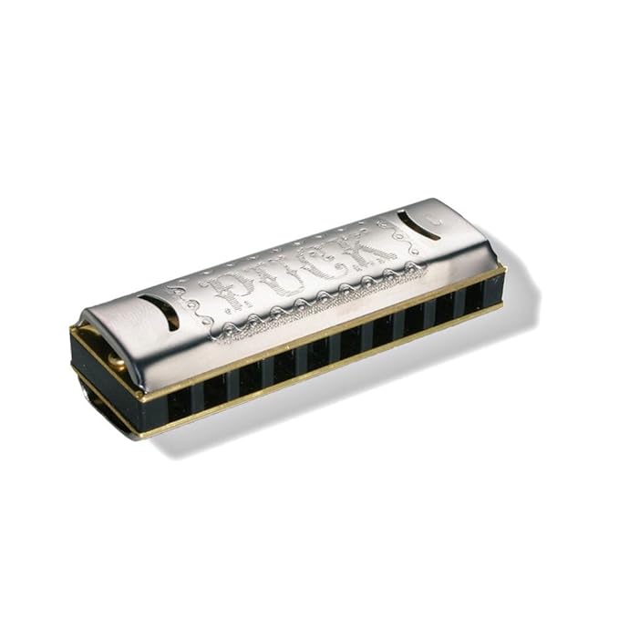 Hohner C-M91550S Harmonica Puck key-Mouth Organ 10 Holes