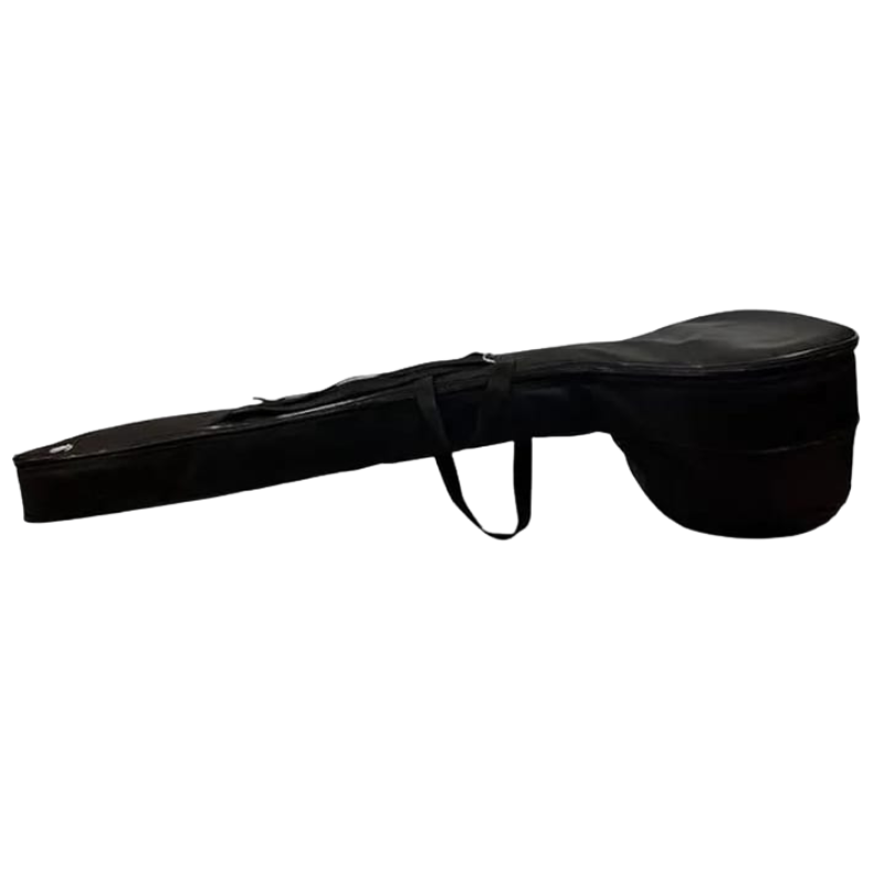 Sitar Foam Gig Bag Cover